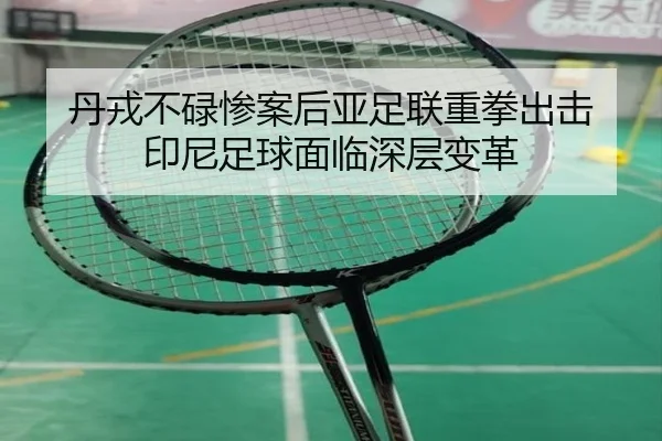 dan-rong-bu-lu-can-an-hou-ya-zu-lian-zhong-quan-chu-ji-yin-ni-zu-qiu-mian-lin-shen-ceng-bian-ge-2-887.jpg