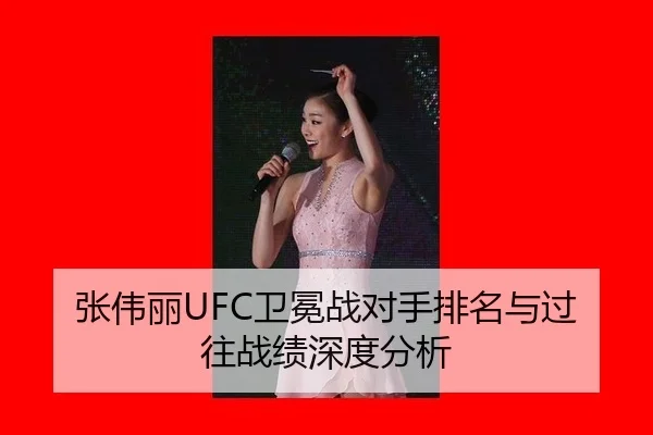 zhang-wei-li-wei-mian-zhan-dui-shou-pai-ming-yu-guo-wang-zhan-ji-shen-du-fen-xi-2-712.jpg